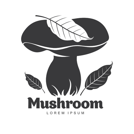 Mushroom logo templates for your design. Autumn, fallen leaves of trees, dry grass. Mushroom badges, labels, brochures, business templates. Vector illustration isolated on white backgroundのイラスト素材