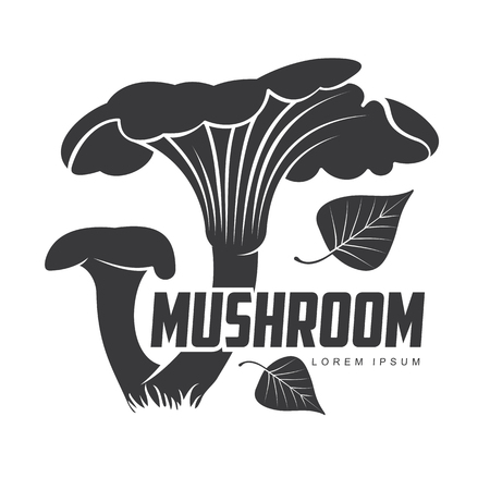 Mushroom logo templates for your design. Autumn, fallen leaves of trees, dry grass. Mushroom badges, labels, brochures, business templates. Vector illustration isolated on white backgroundのイラスト素材