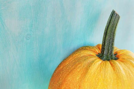 orange yellow pumpkin wooden background with copy space. rustic design. Autumn seasonal product vegetable for Thanksgiving. Decorationの写真素材