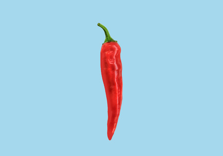 Flat lay red chili peppers pattern on ligh blue t background. Top view.の写真素材