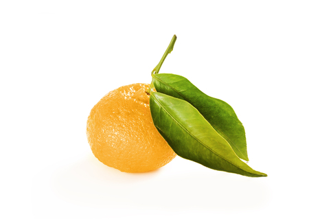 Mandarin with leafs on the white background. Isolated  tangerine fruitの写真素材