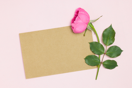 Beautiful pink rose flower on pink background and empty blank card . top view, above, over head, flat layの写真素材
