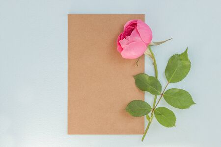 Pink rose flowers and craft paper card blank on blue background in flat lay style. Greeting for...