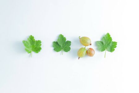 Fresh gooseberries isolated on white background. Summer berry Top view.の写真素材