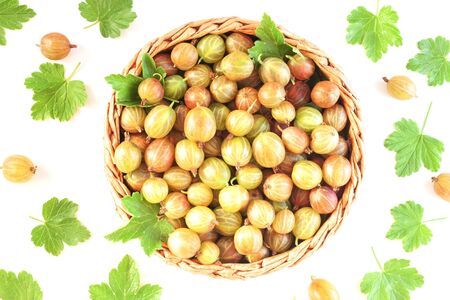Fresh gooseberries in wicker basket, leaf on white background. Summer berry Top view.の写真素材