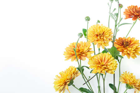 Flowers composition from chrysanthemum flowers. Yellow flowers on white background. Flat lay, top...