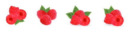 Raspberry with leaves isolated on white background. Macro Ripe raspbarryの写真素材
