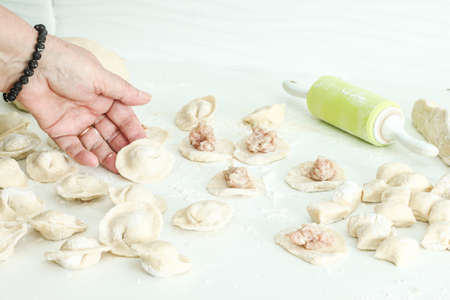 Woman and girl making dumplings. Homemade Cooking chinese Ravioli or dumplings