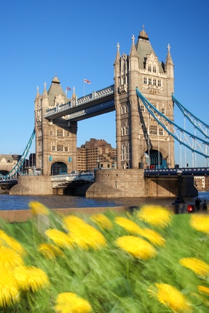 Famous Tower Bridge in spring time, London, UKの写真素材