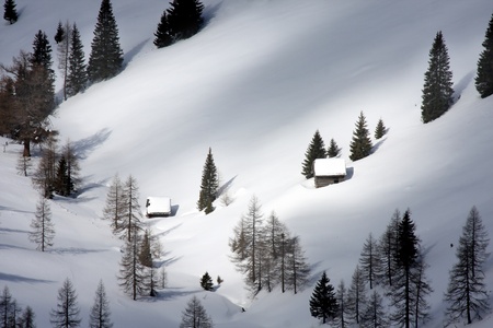 Winter landscape の写真素材