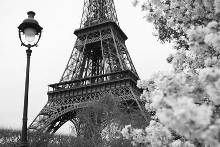 Eiffel Tower in black and white style, Paris, Franceの写真素材