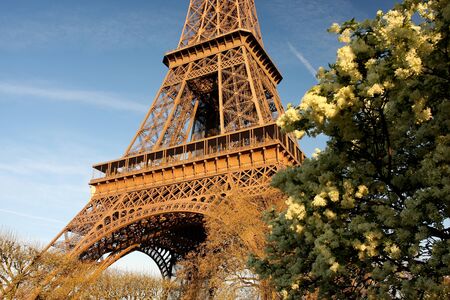 Eiffel Tower in spring time, Paris, France