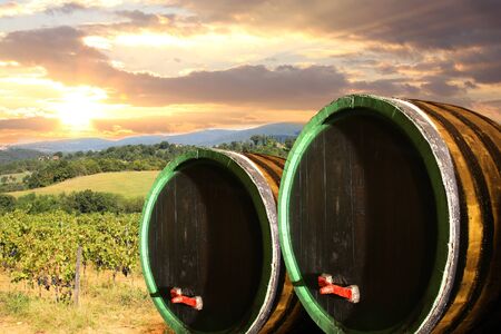Chianti vineyard landscape in Tuscany, Italyの写真素材