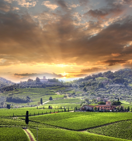 Chianti vineyard landscape in Tuscany, Italyの写真素材