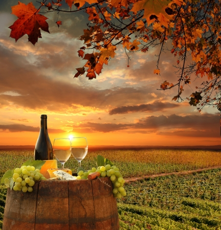 White wine with barrel on vineyard in Chianti, Tuscany, Italy