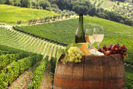 White wine with barrel on vineyard in Chianti, Tuscany, Italyの写真素材