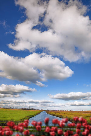 Traditional Dutch landscape  in  Zaanse Schans, Amsterdam area, Hollandの写真素材