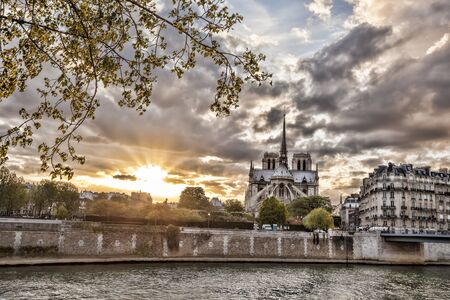 Notre Dame cathedral in spring time, Paris, Franceの写真素材