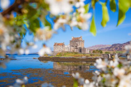 The Eilean Donan Castle with spring tree in Highlands of Scotlandのeditorial素材