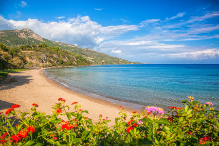 Panorama of Porto Zorro beach against colorful flowers on Zakynthos island, Greeceの写真素材