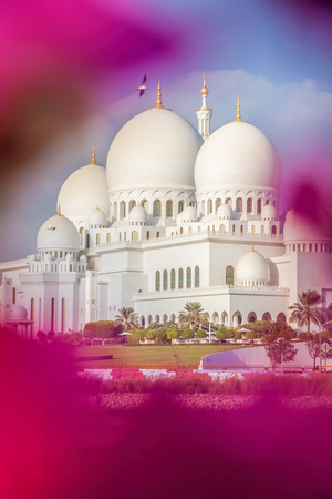 Sheikh Zayed Grand Mosque with flowers in Abu-Dhabi, United Arab Emiratesのeditorial素材