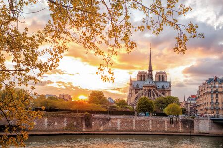 Notre Dame cathedral against colorful sunset during spring time in Paris, Franceの写真素材