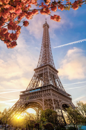 Eiffel Tower during spring time in Paris, Franceの写真素材
