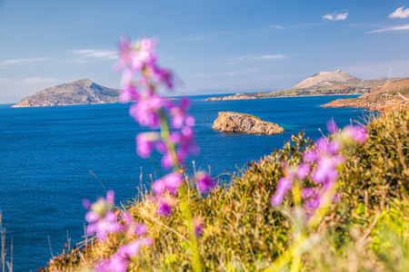 Cape Sounion with flowers during spring time in Greeceの写真素材