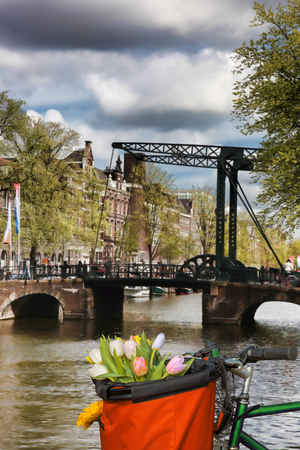Famous Amsterdam with basket of colorful tulips against old bridge in Hollandの写真素材