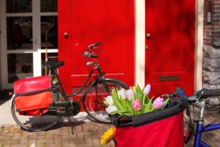 Famous Amsterdam with basket of colorful tulips against house in Hollandの写真素材