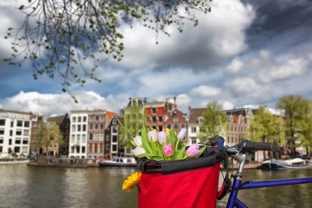 Famous Amsterdam with basket of colorful tulips against canal in Hollandの写真素材
