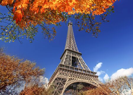 Eiffel Tower with autumn leaves in Paris, Franceの写真素材