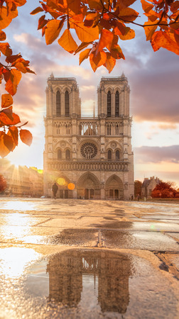 Notre Dame cathedral with autumn leaves in Paris, Franceの写真素材