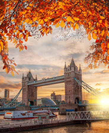 Tower Bridge with autumn leaves in London, England, UKのeditorial素材