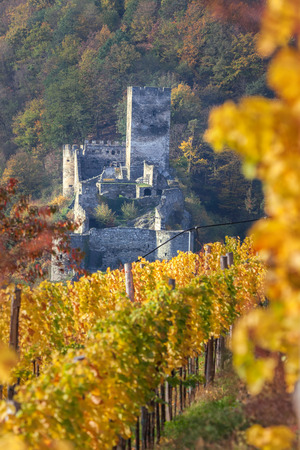 Spitz castle with autumn vineyard in Wachau valley, Austria.のeditorial素材