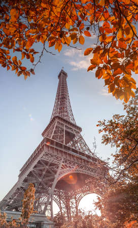 Eiffel Tower with autumn leaves in Paris, France
