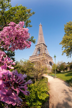 Eiffel Tower with spring trees against blue sky in Paris, Franceの写真素材