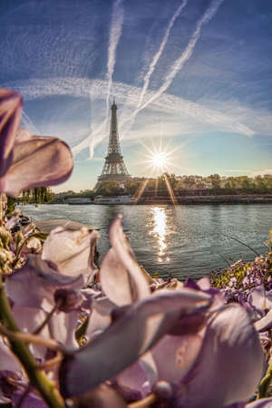 Eiffel Tower against sunset during spring time in Paris, Franceの写真素材