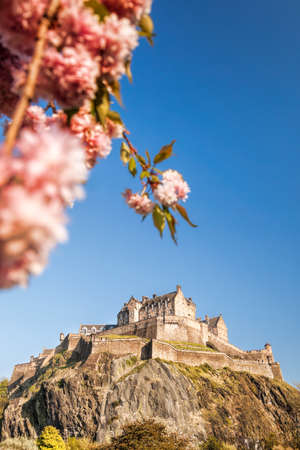 Edinburgh castle with spring tree in Scotlandのeditorial素材