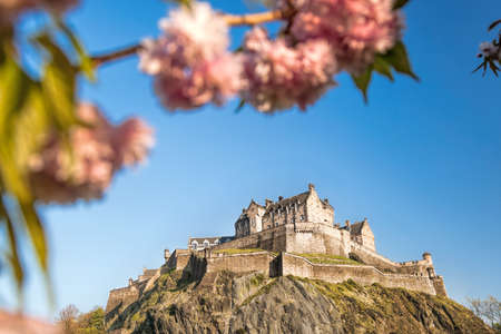 Edinburgh castle with spring tree in Scotlandのeditorial素材