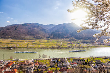 Spitz village with ships on Danube river in Wachau valley (UNESCO) during spring time, Austriaの写真素材