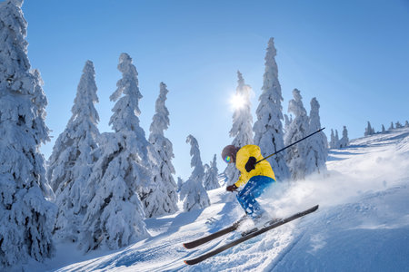 Skier skiing downhill in high mountains against the fairytale winter forest.の写真素材