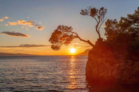 Punta Rata beach with stone island against sunset in Brela, Makarska, Dalmatia, Croatia