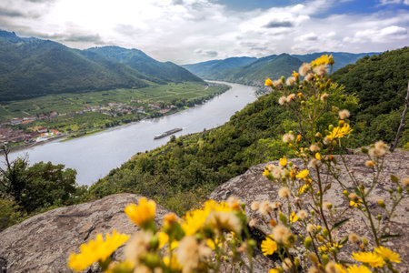 Wild nature of Wachau Valley with boat on Danube river near the Spitz village in Lower Austria, Austriaの写真素材