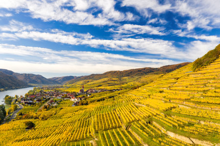 Autumn panorama of Wachau valley (Unesco world heritage site) with Danube river near the Weissenkirchen village in Lower Austria, Austriaの写真素材
