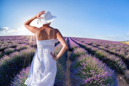 Woman holding hat in lavender fields in Provence, Franceの写真素材