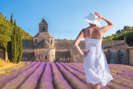 The Abbey of Senanque and the rows of lavender flowers in bloom against a woman dressed in a white dress, Gordes, Provence, Franceの写真素材