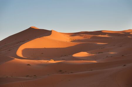 Dunesの写真素材