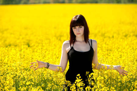 On yellow fieldの写真素材
