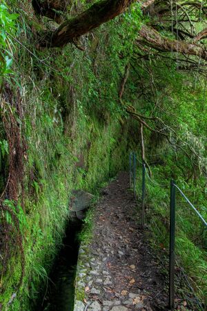 Levada at Calderiao verde Madeira Portugal 